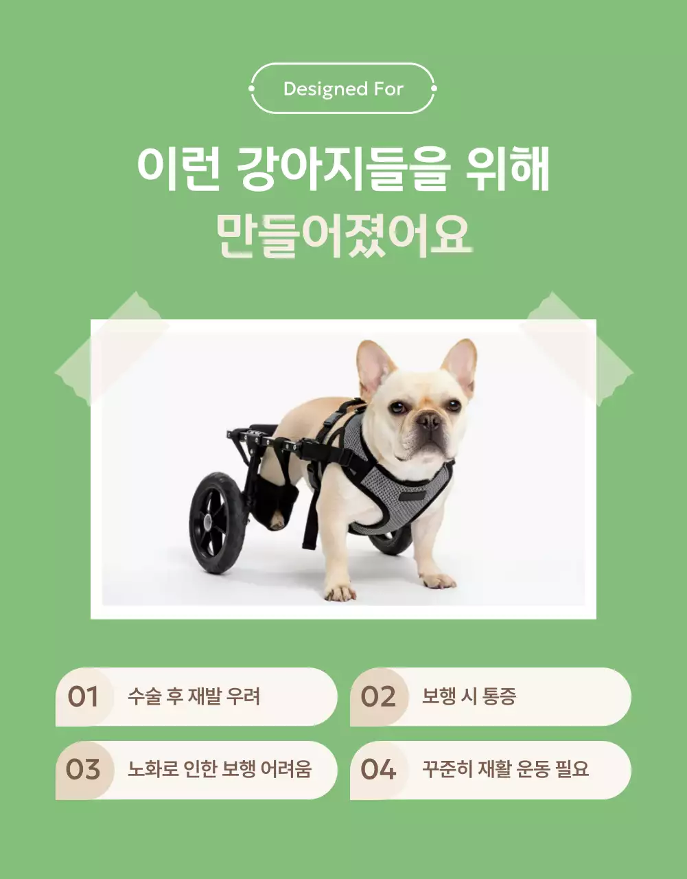 초록 모던 반려동물 재활 홍보