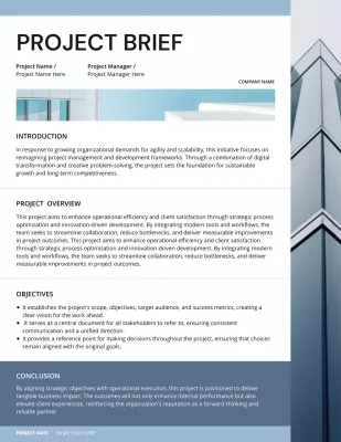 청백색 미니멀리즘 프로젝트 개요 보고서