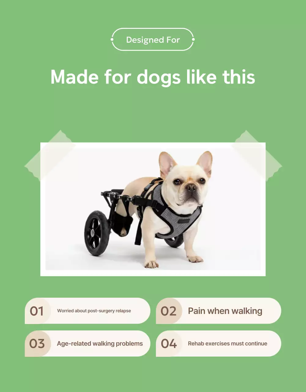 Promosi Rehabilitasi Hewan Peliharaan Modern Ramah Lingkungan