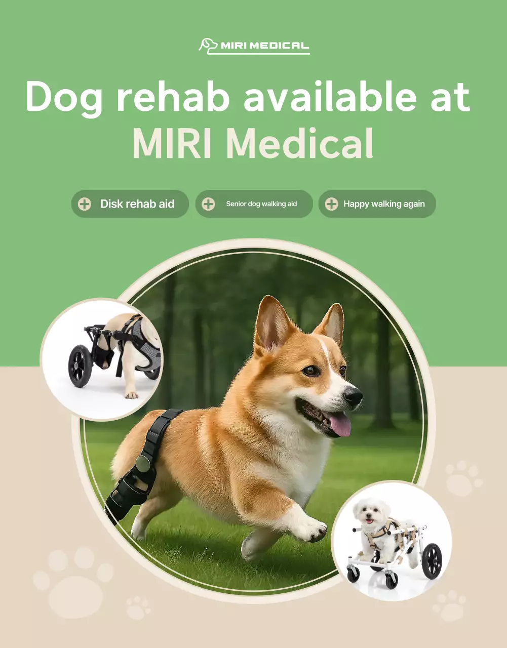 Green Modern Pet Rehabilitation Promotion