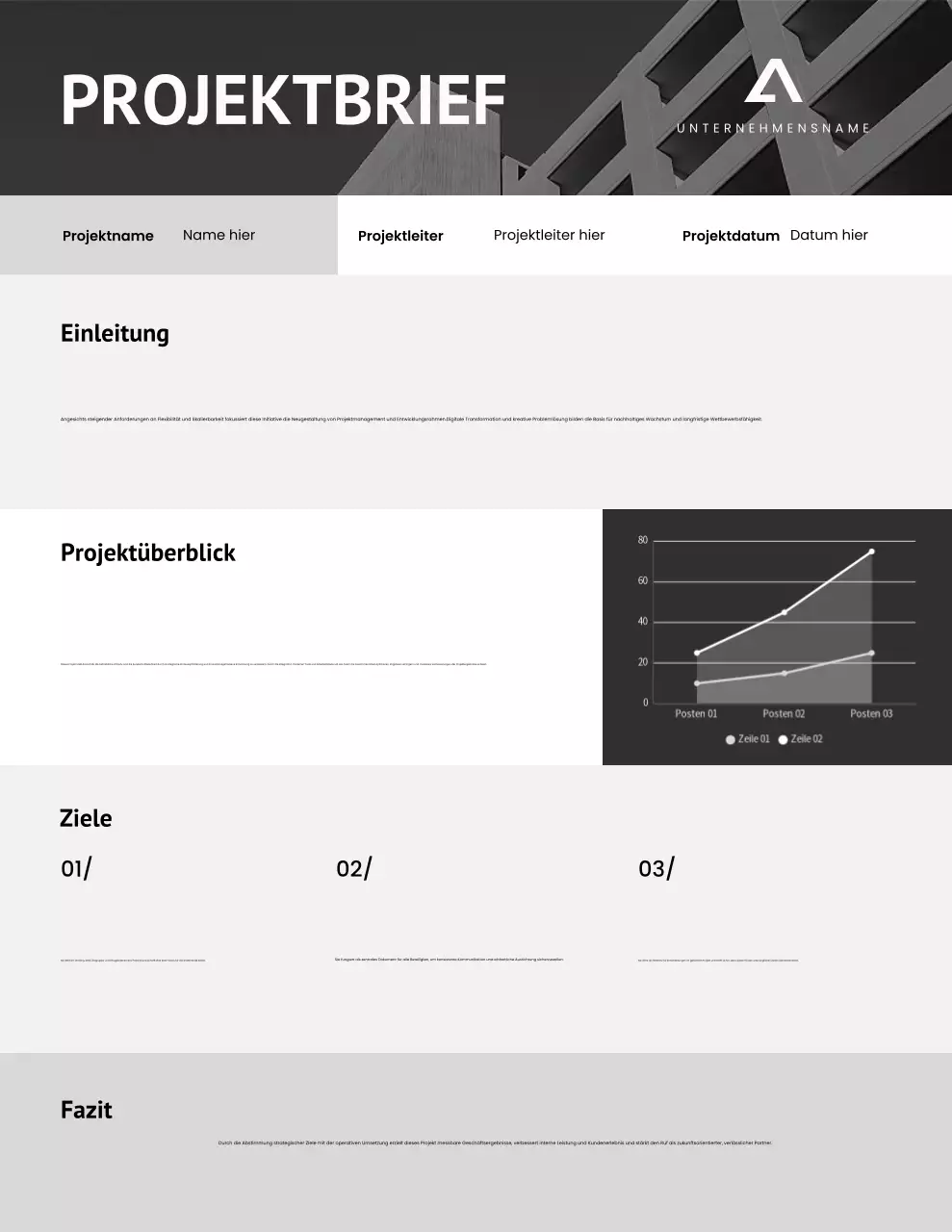 Projektbrief in Grau und Schwarz (minimalistisch)
