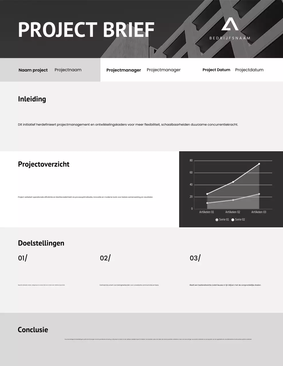 Grijze en zwarte minimalistische projectbrief