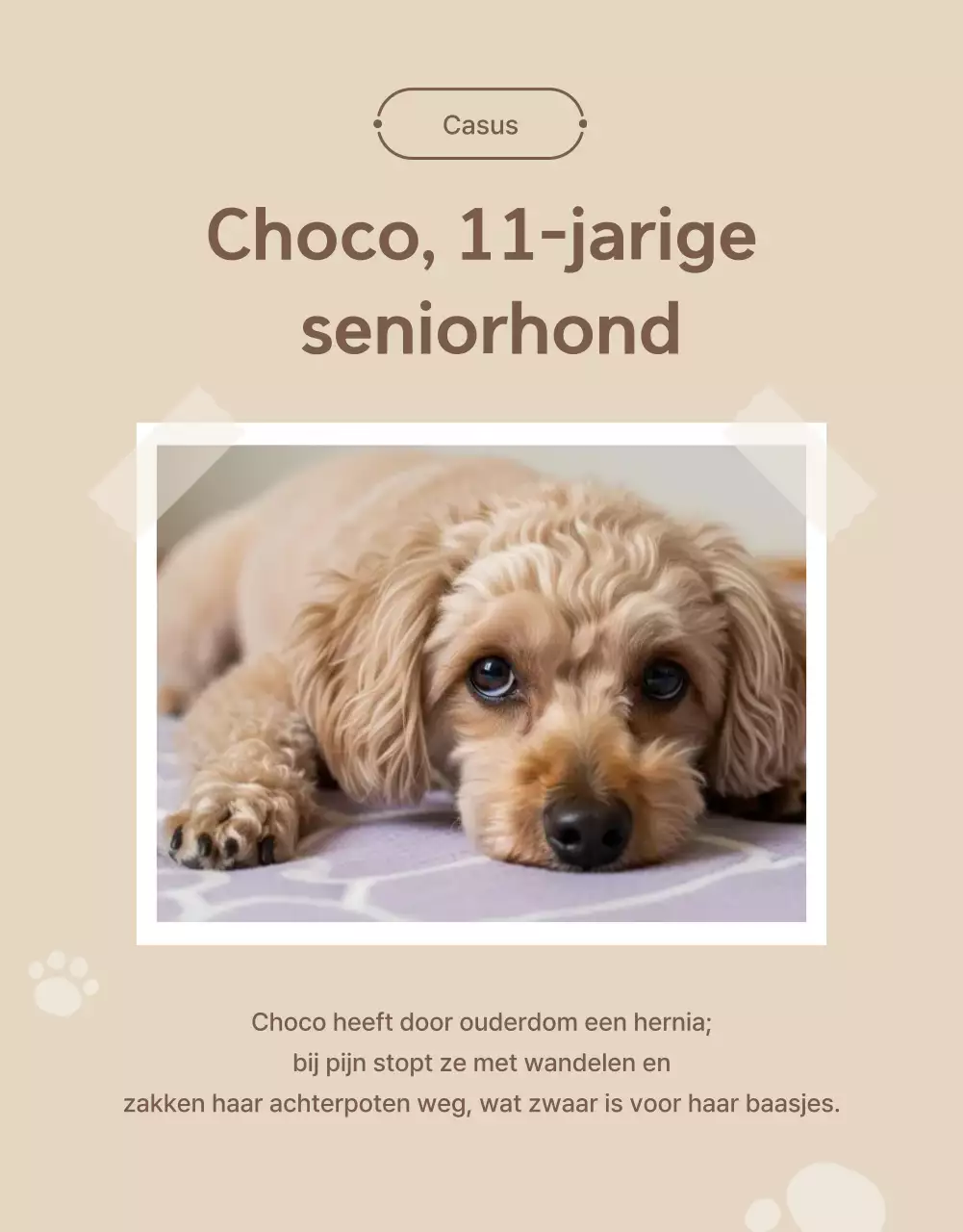 Promotie van groene, moderne huisdierrehabilitatie