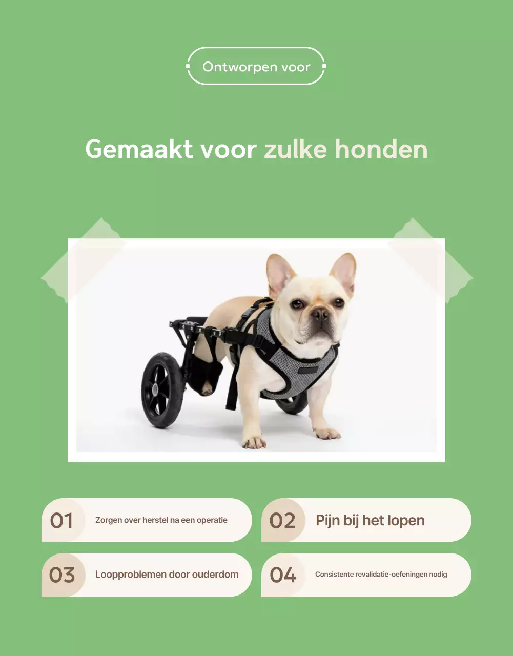 Promotie van groene, moderne huisdierrehabilitatie