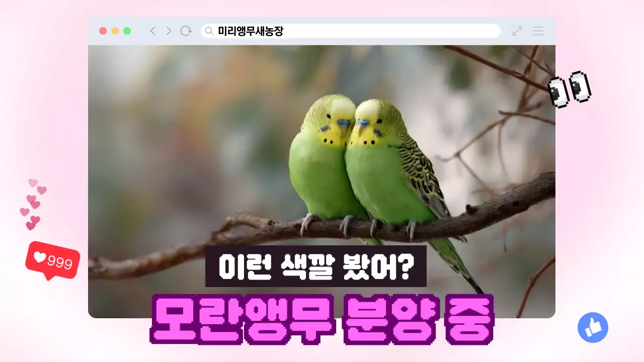 분홍 심플 동물 광고