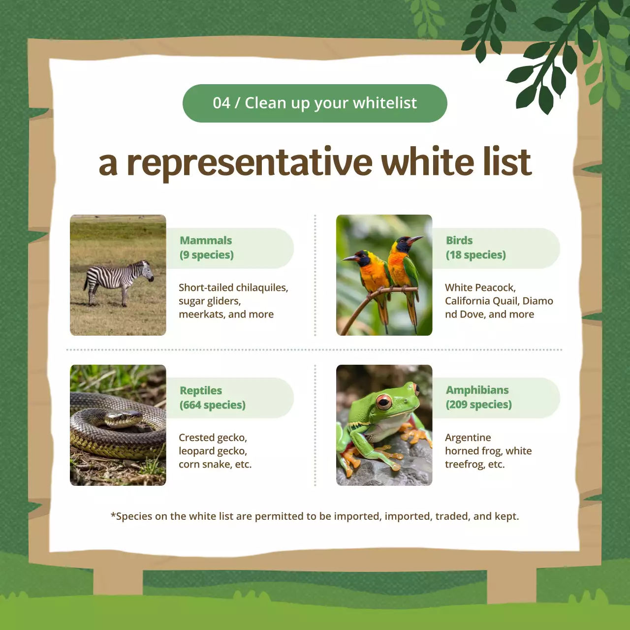 green rustic wildlife guide