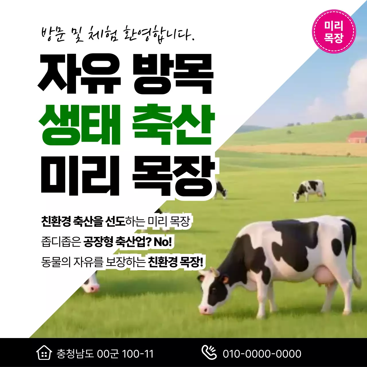 초록 자연 농장 홍보