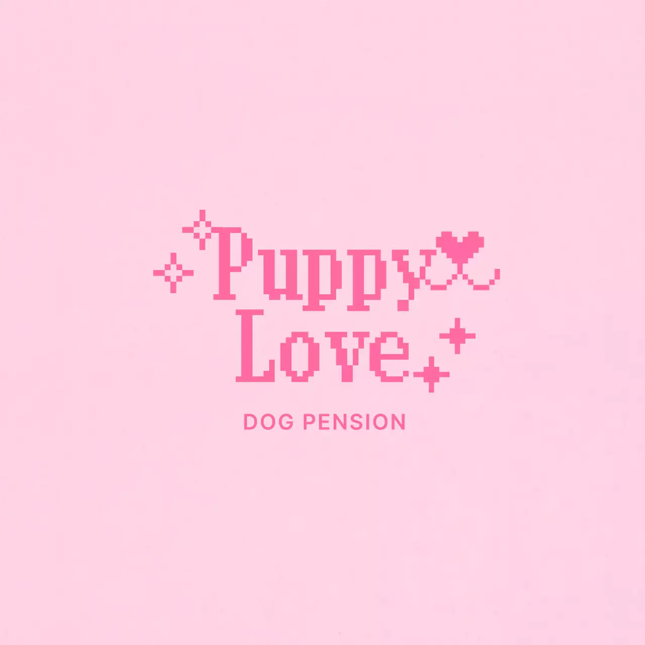 핑크 레트로 반려동물 펜션 홍보