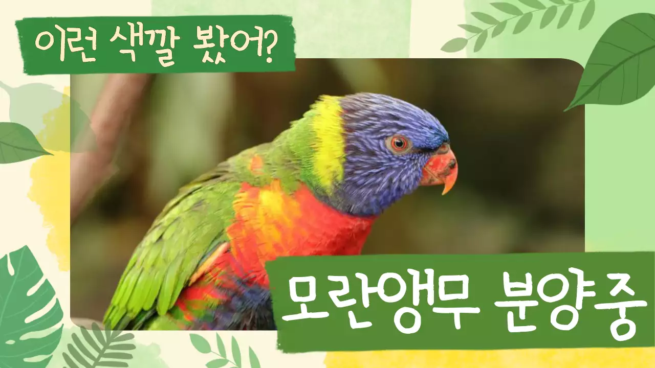 초록 자연 동물 광고