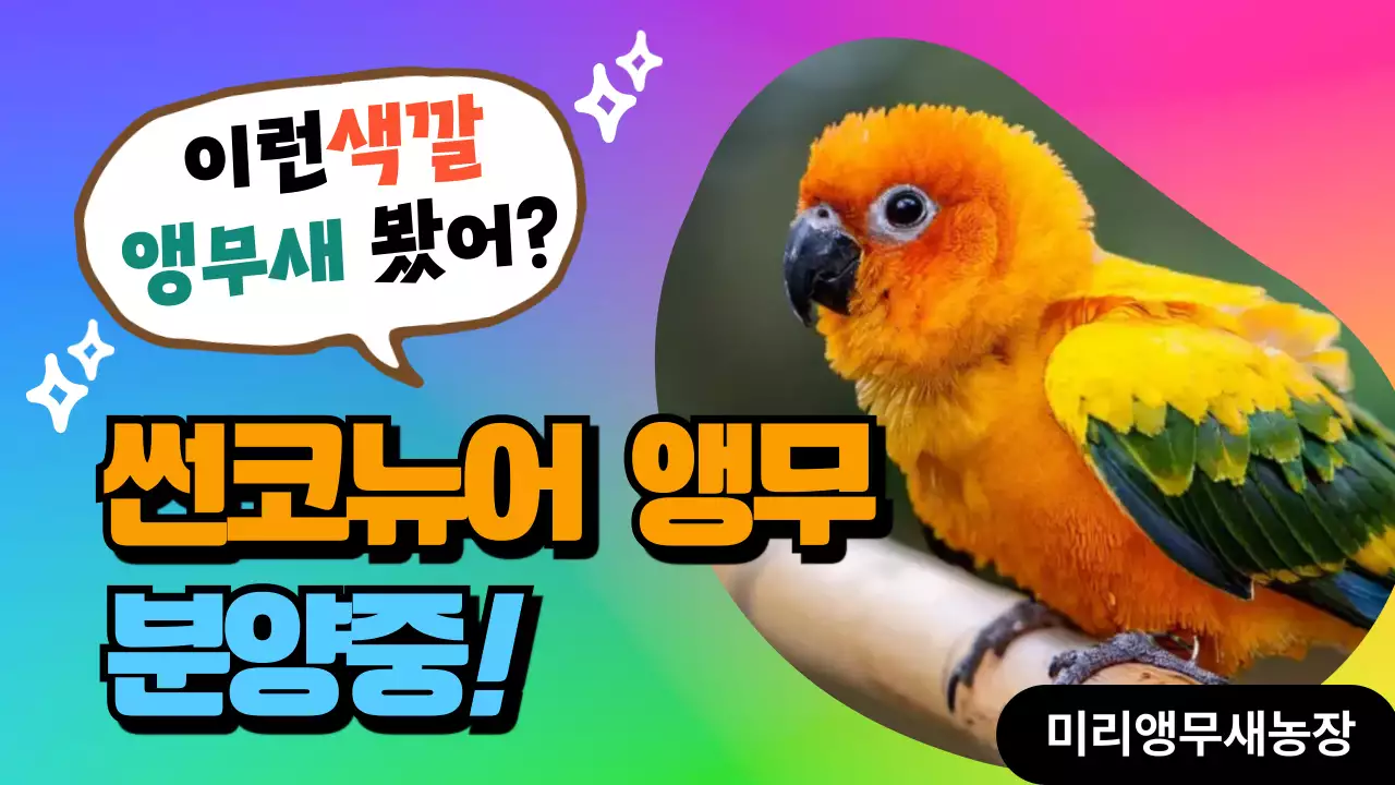 무지개 팝 애완동물 광고