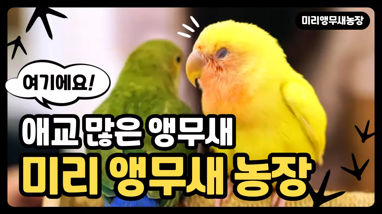 노랑 아기자기한 동물 광고