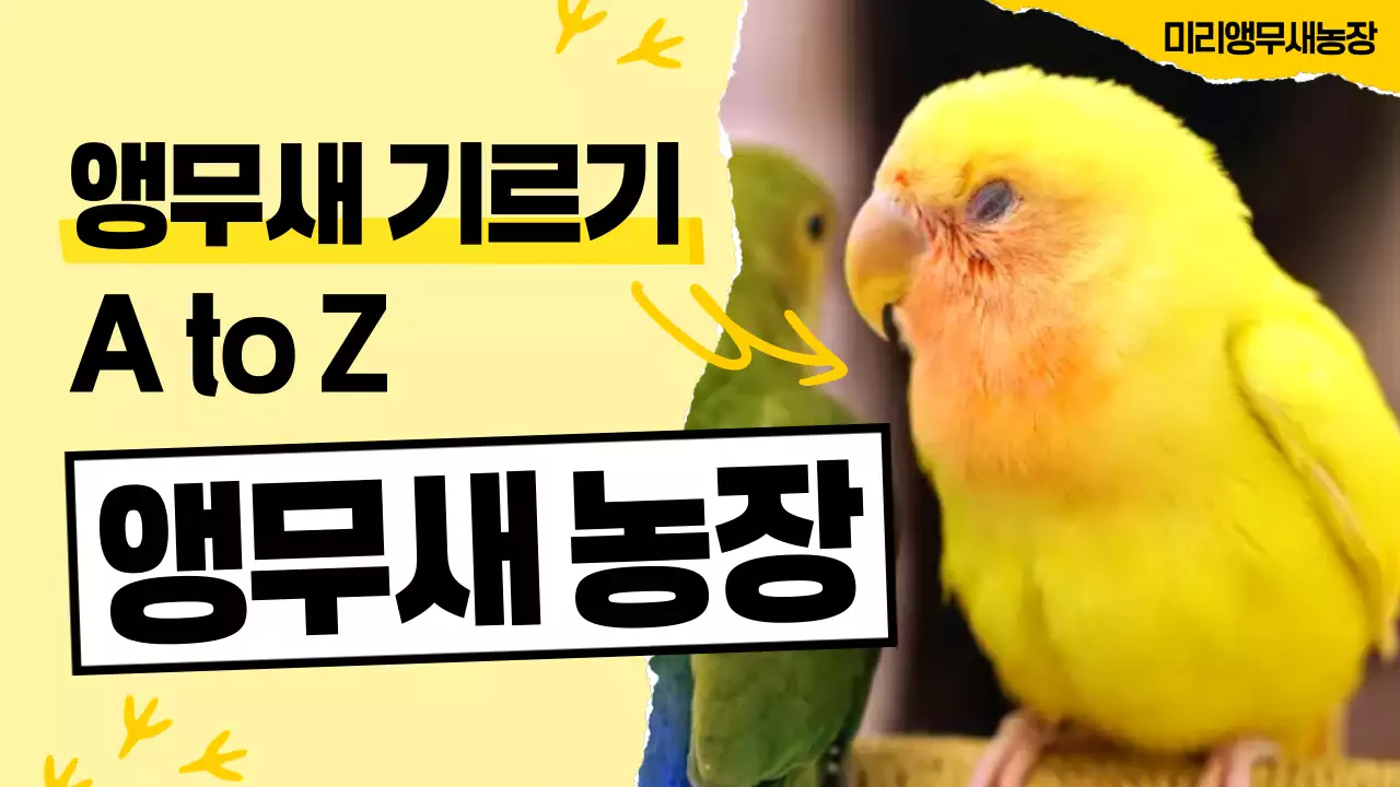 노랑 심플 동물 농장 홍보