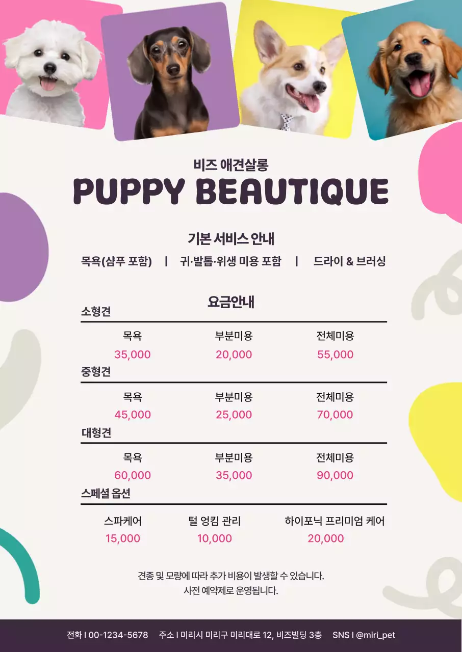 연보라 깔끔 애견 미용 광고