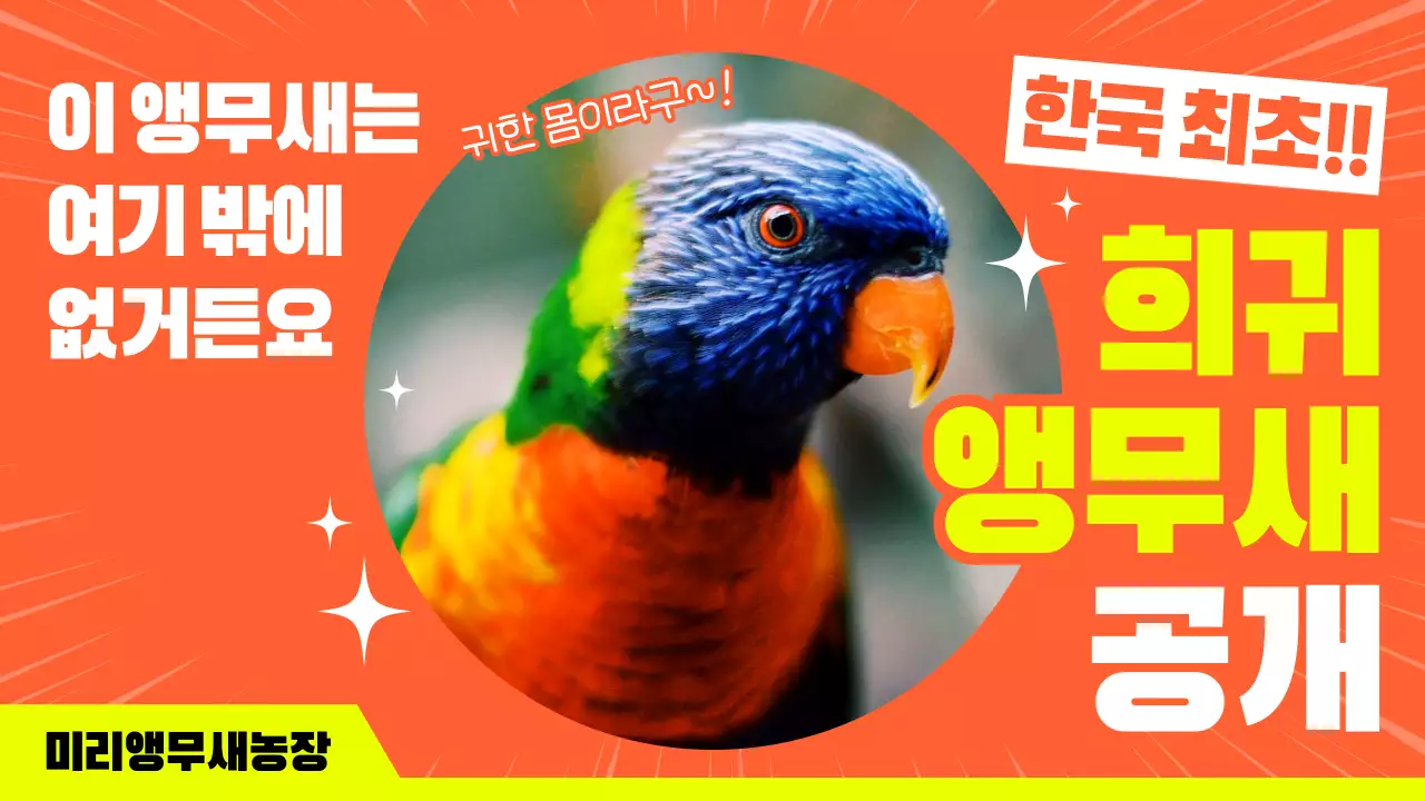 주황 강조 동물 전시회