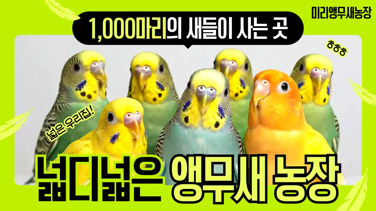 연두 깔끔 동물 농장 홍보