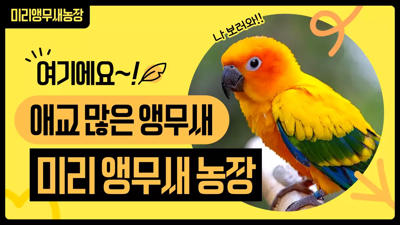 노랑 심플 앵무새농장 홍보