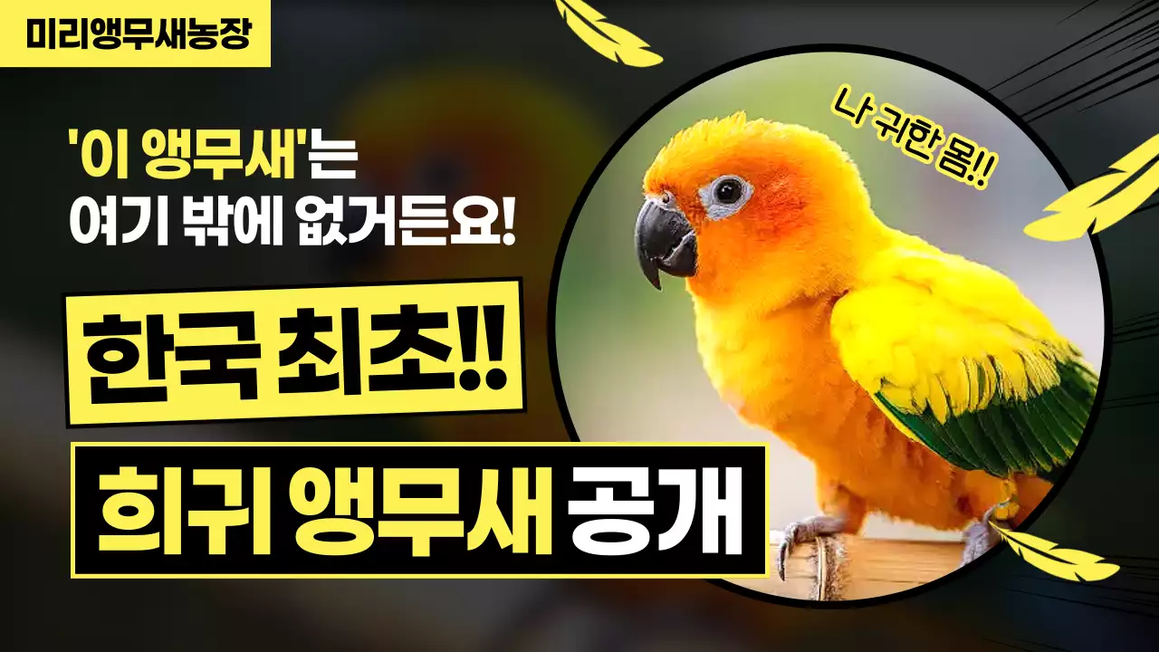 노랑 강조 애완동물 광고