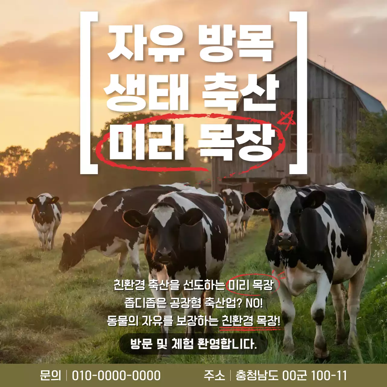 갈색 자연 목장 홍보