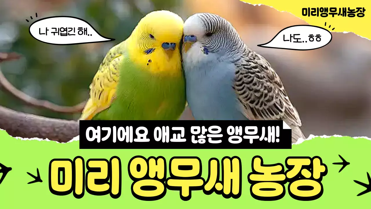 연두 귀여운 앵무새농장 광고