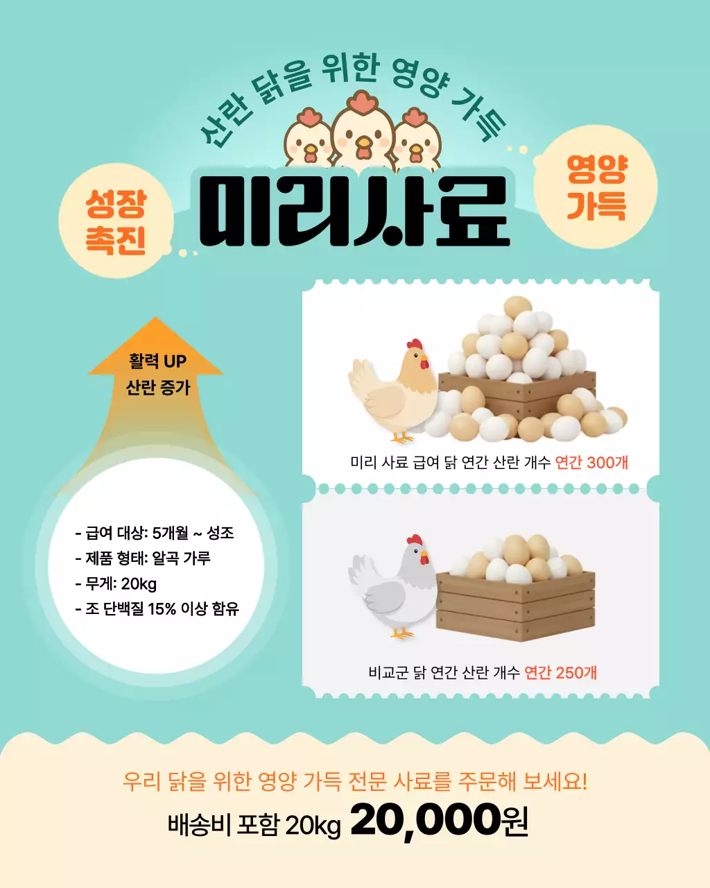 하늘색 깔끔 닭사료 광고