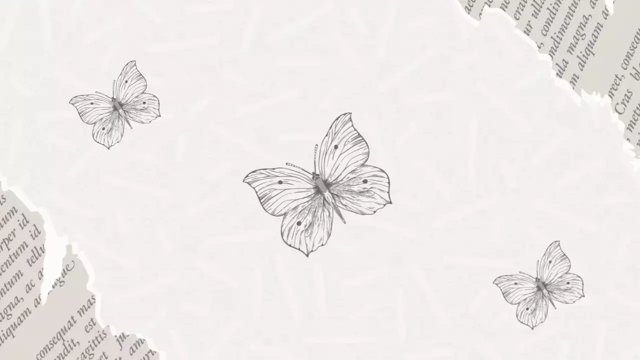 흰색 미니멀 자연 엽서