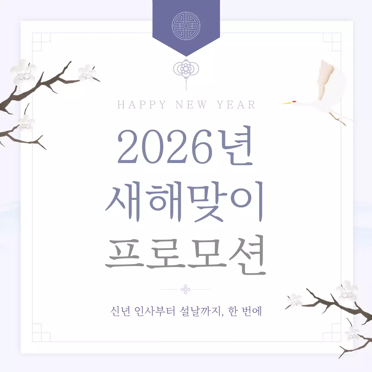 연보라 전통 새해 프로모션