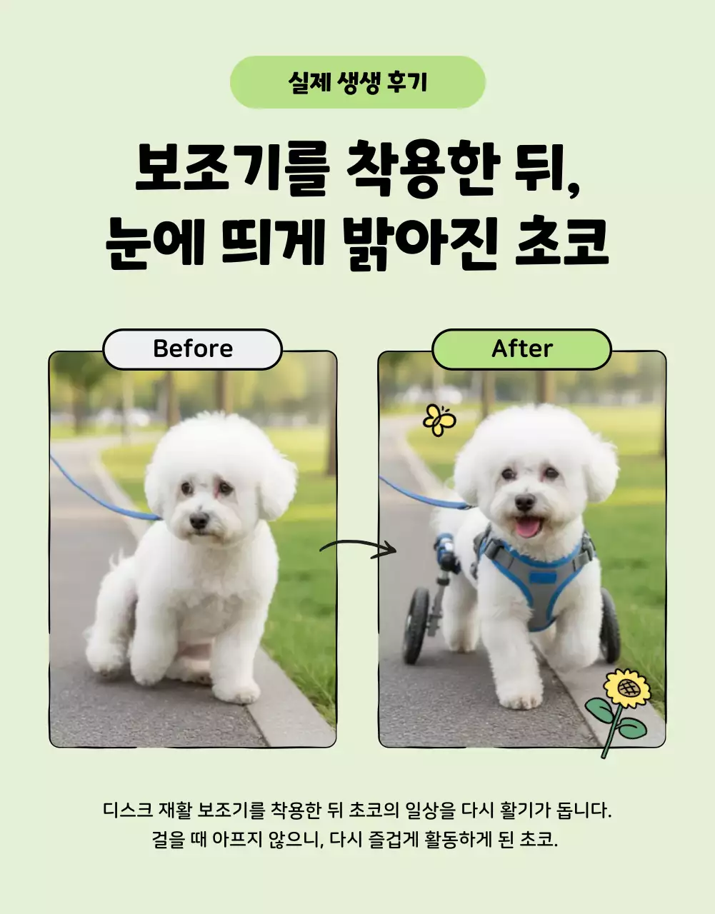 민트 아기자기한 반려동물 광고