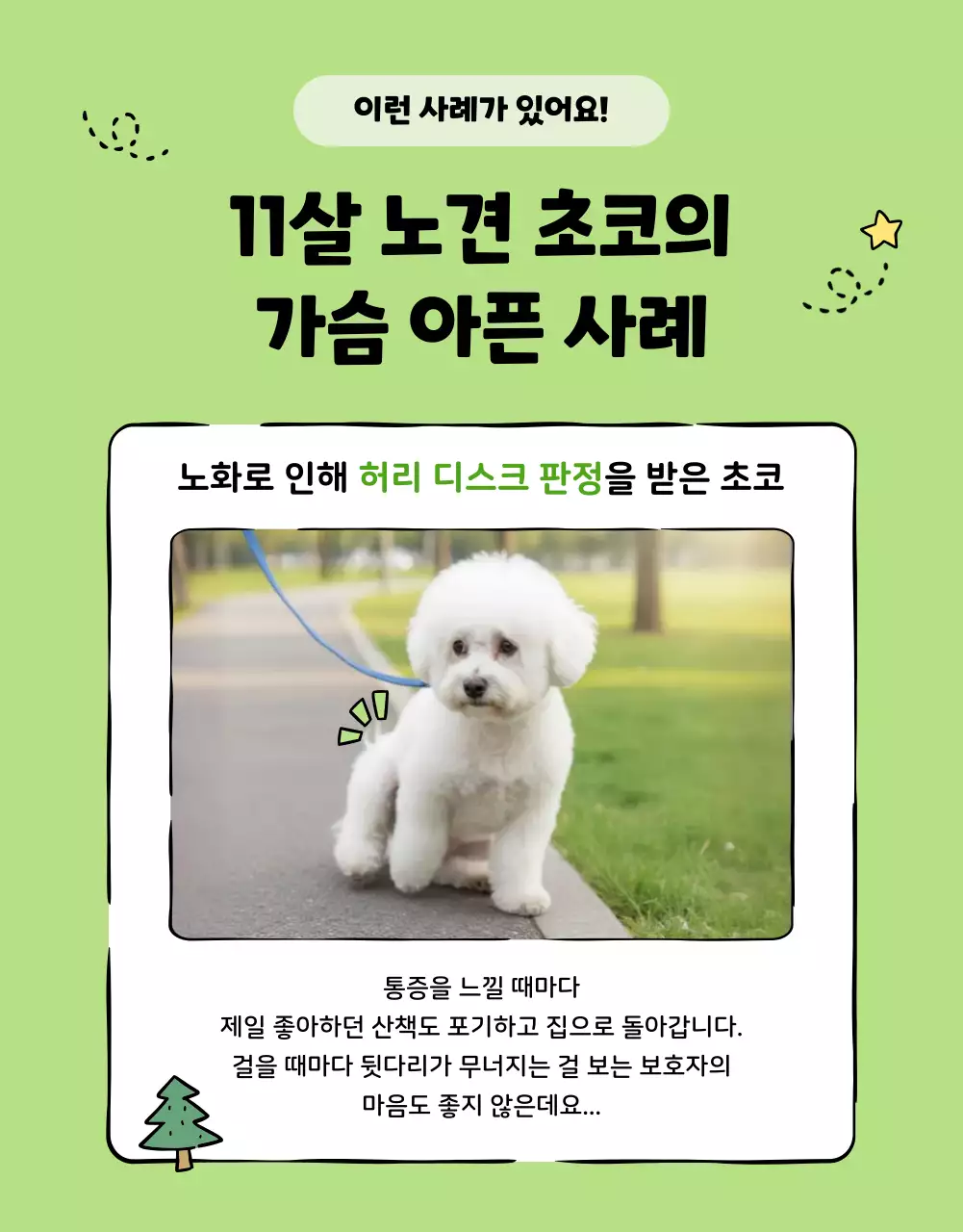 민트 아기자기한 반려동물 광고