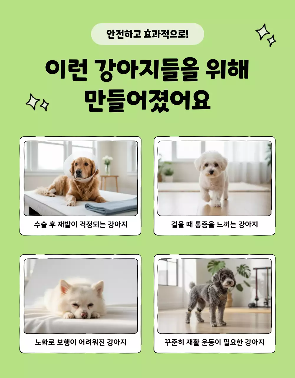 민트 아기자기한 반려동물 광고