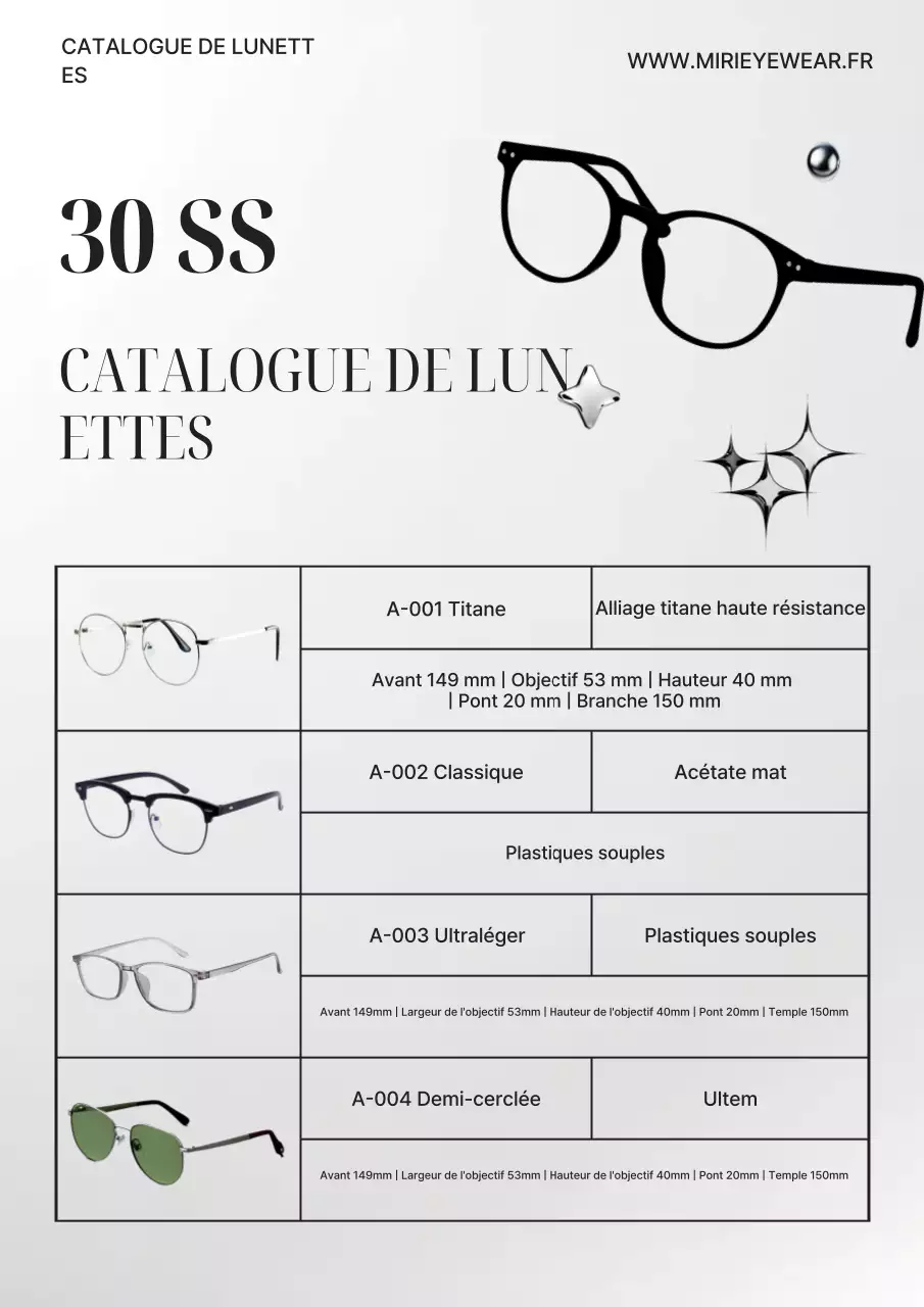 Catalogue de lunettes modernes grises - Présentation du produit