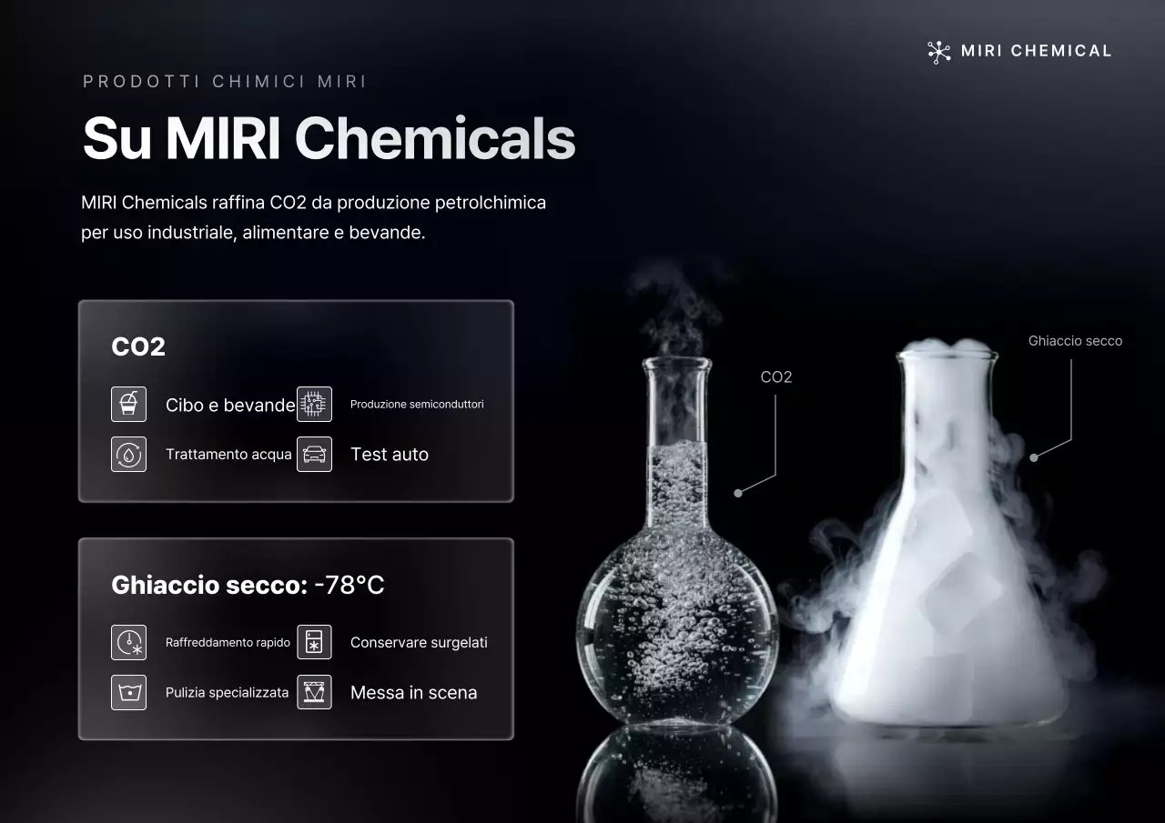 Presentazione dei prodotti chimici Black Simple