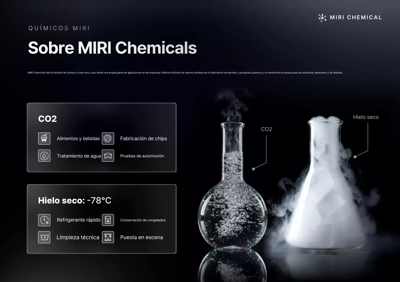 Presentación de productos químicos Black Simple