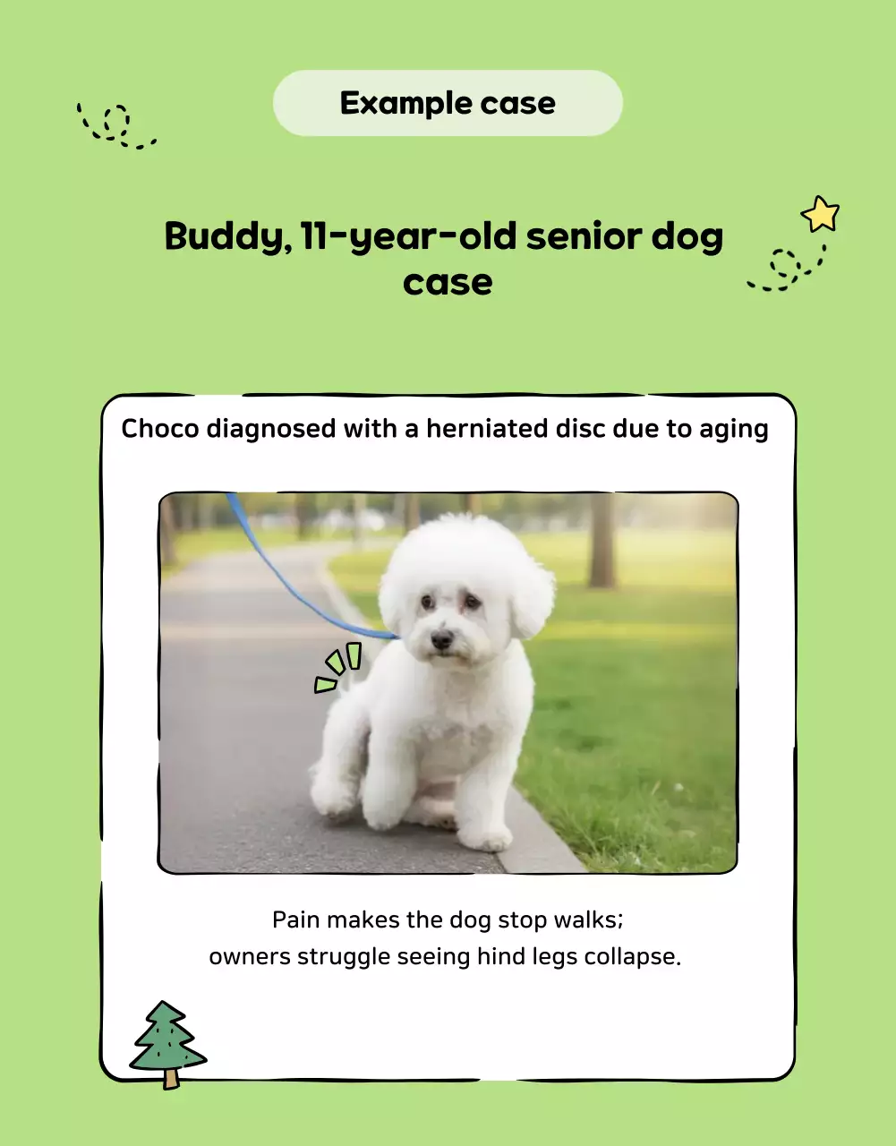 Mint's cute pet commercial