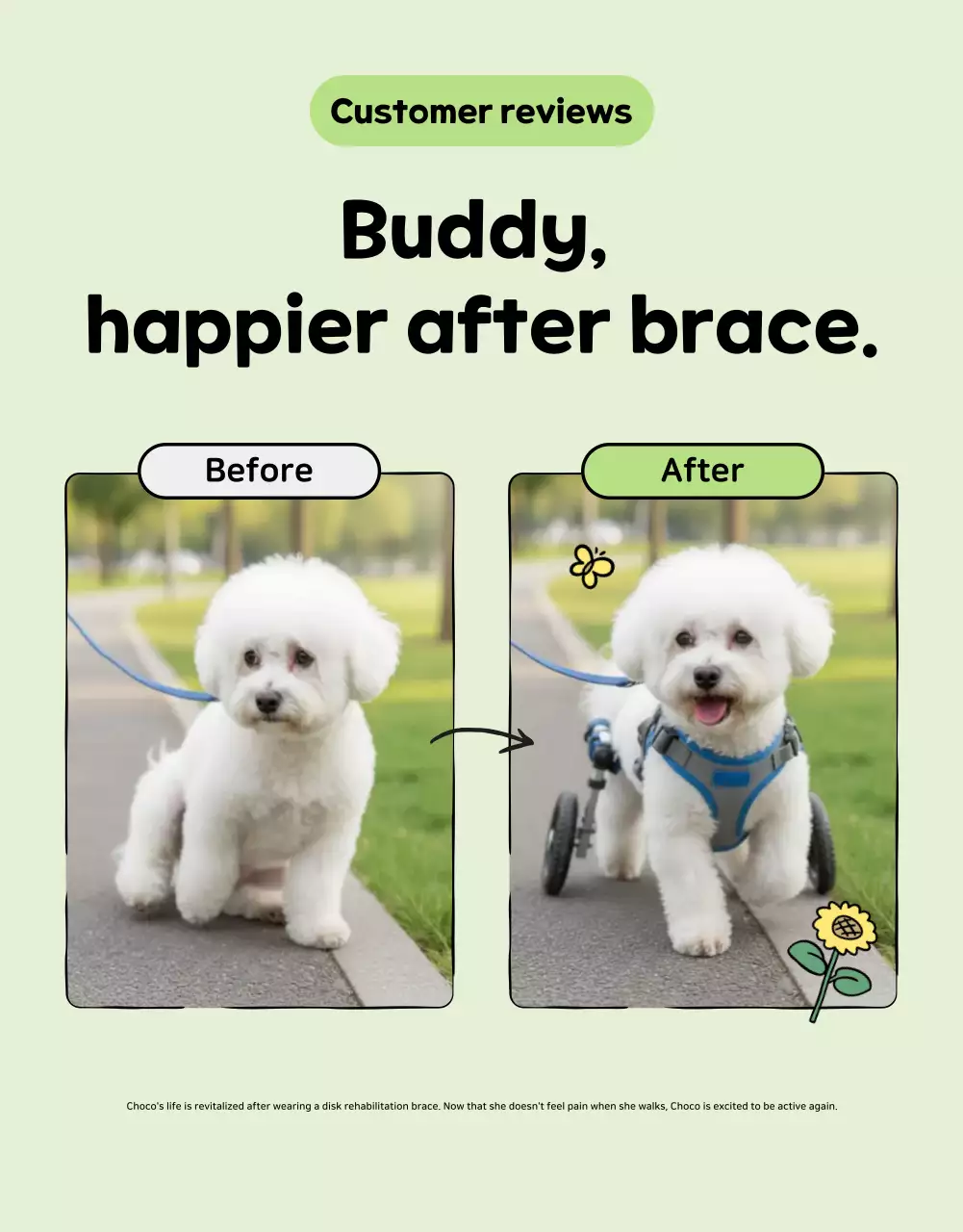 Mint's cute pet commercial