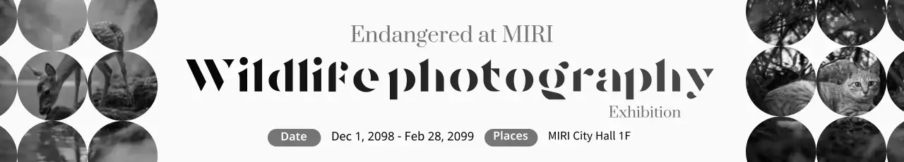 black elegant wildlife exhibition