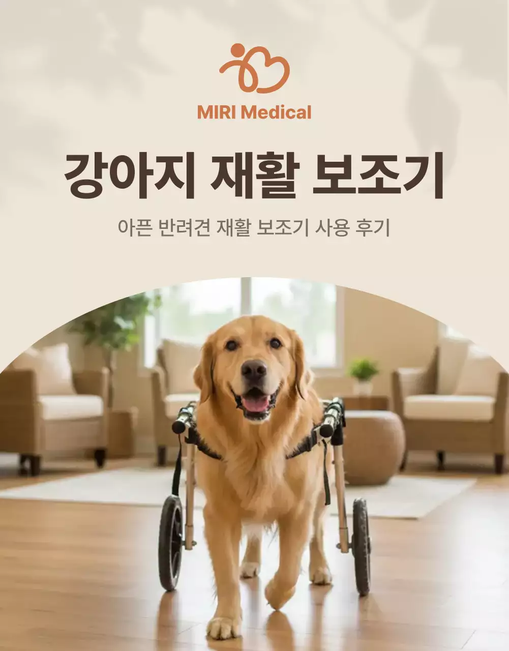 베이지 깔끔 반려동물 제품 소개