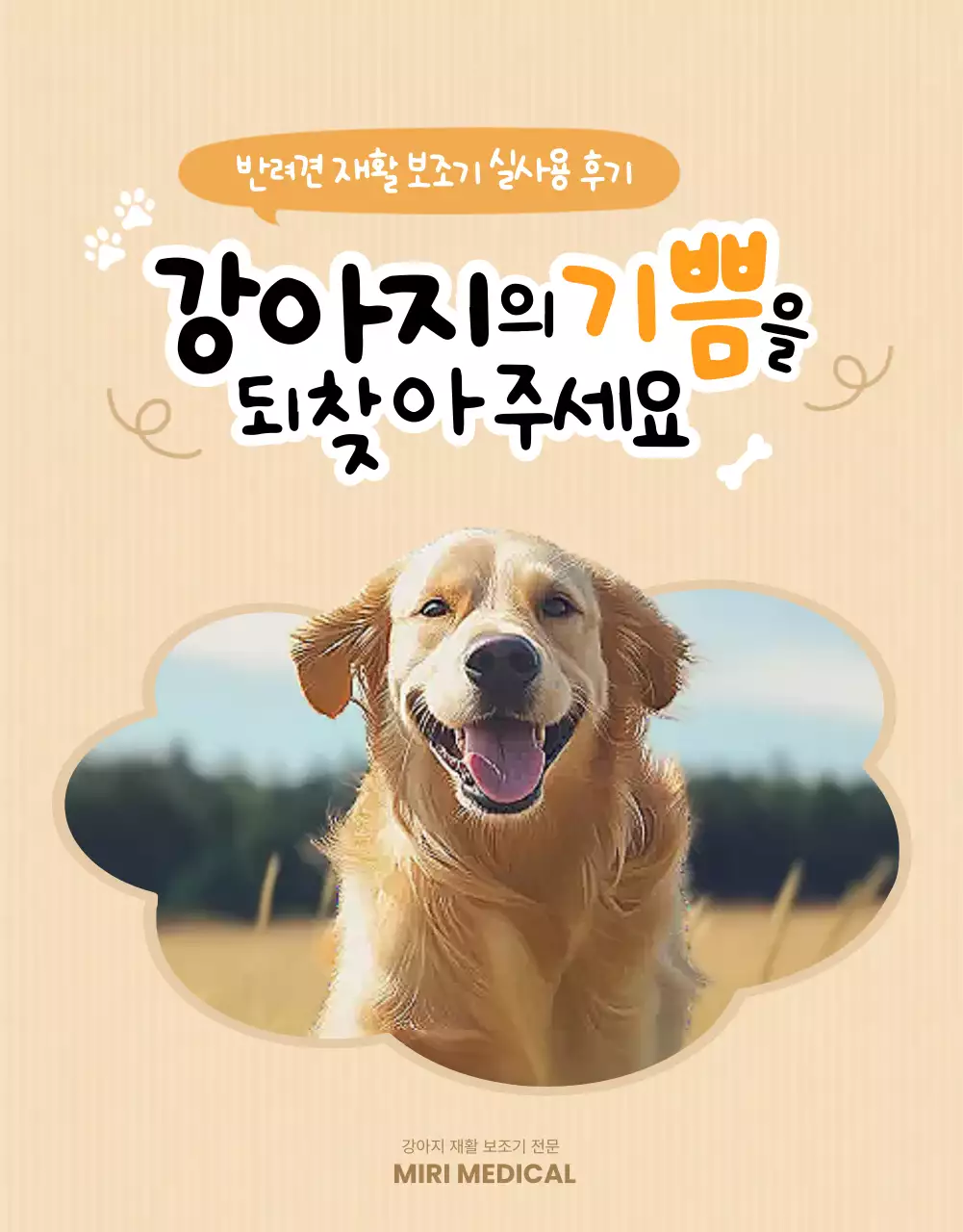 베이지 아기자기한 반려동물 광고