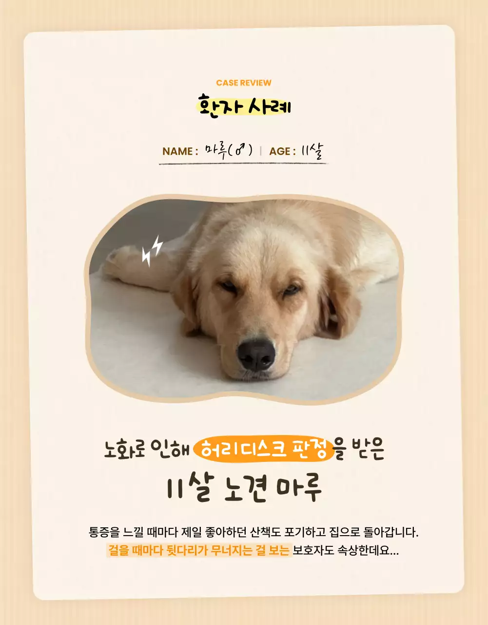 베이지 아기자기한 반려동물 광고