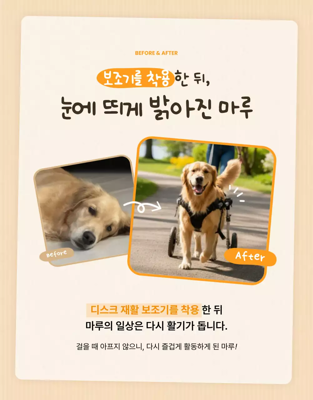 베이지 아기자기한 반려동물 광고