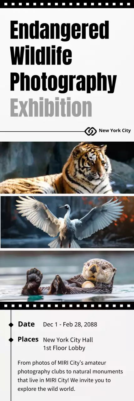 black modern wildlife exhibition