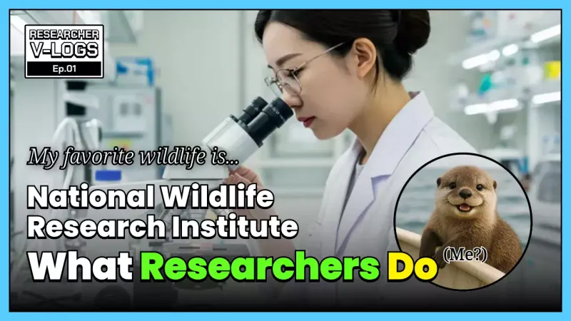 white modern research vlog