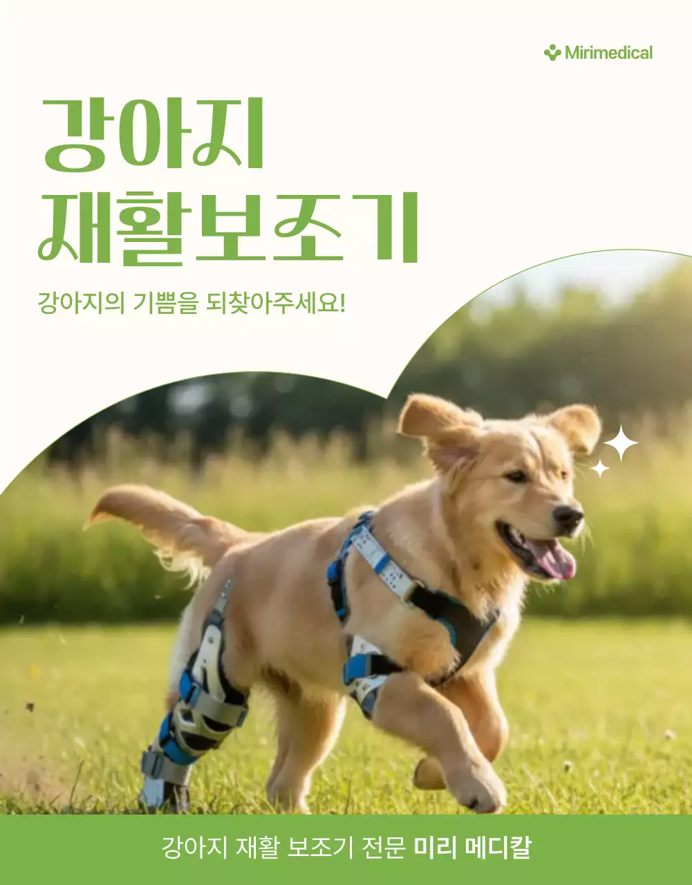 연두 심플 반려동물 광고