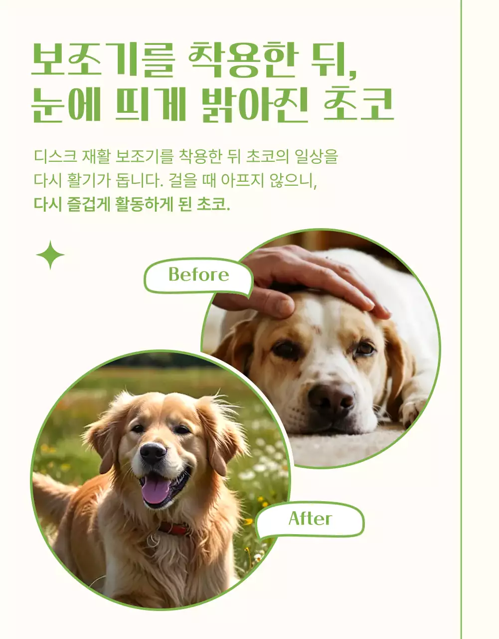 연두 심플 반려동물 광고