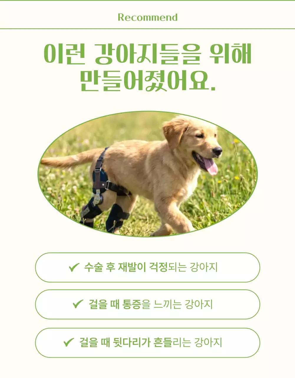 연두 심플 반려동물 광고