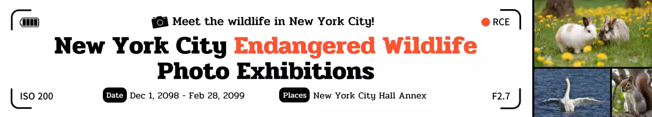 white modern wildlife exhibition