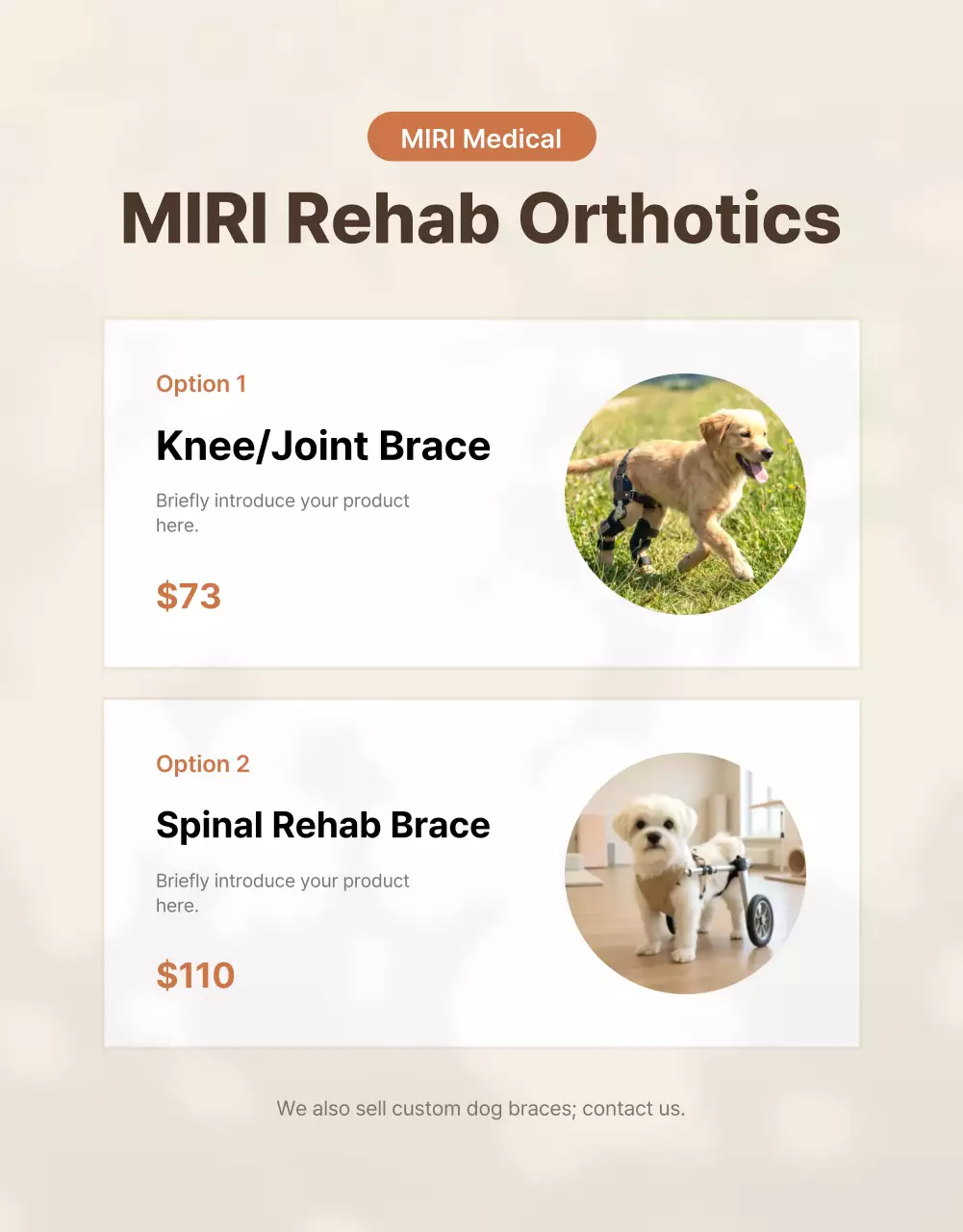 Introducing Beige Clean Pet Products