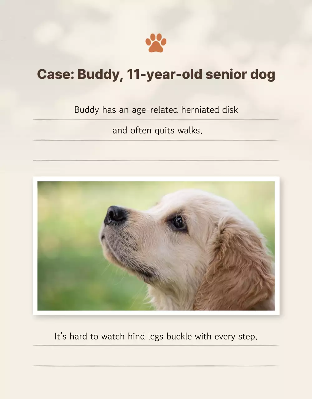 Introducing Beige Clean Pet Products