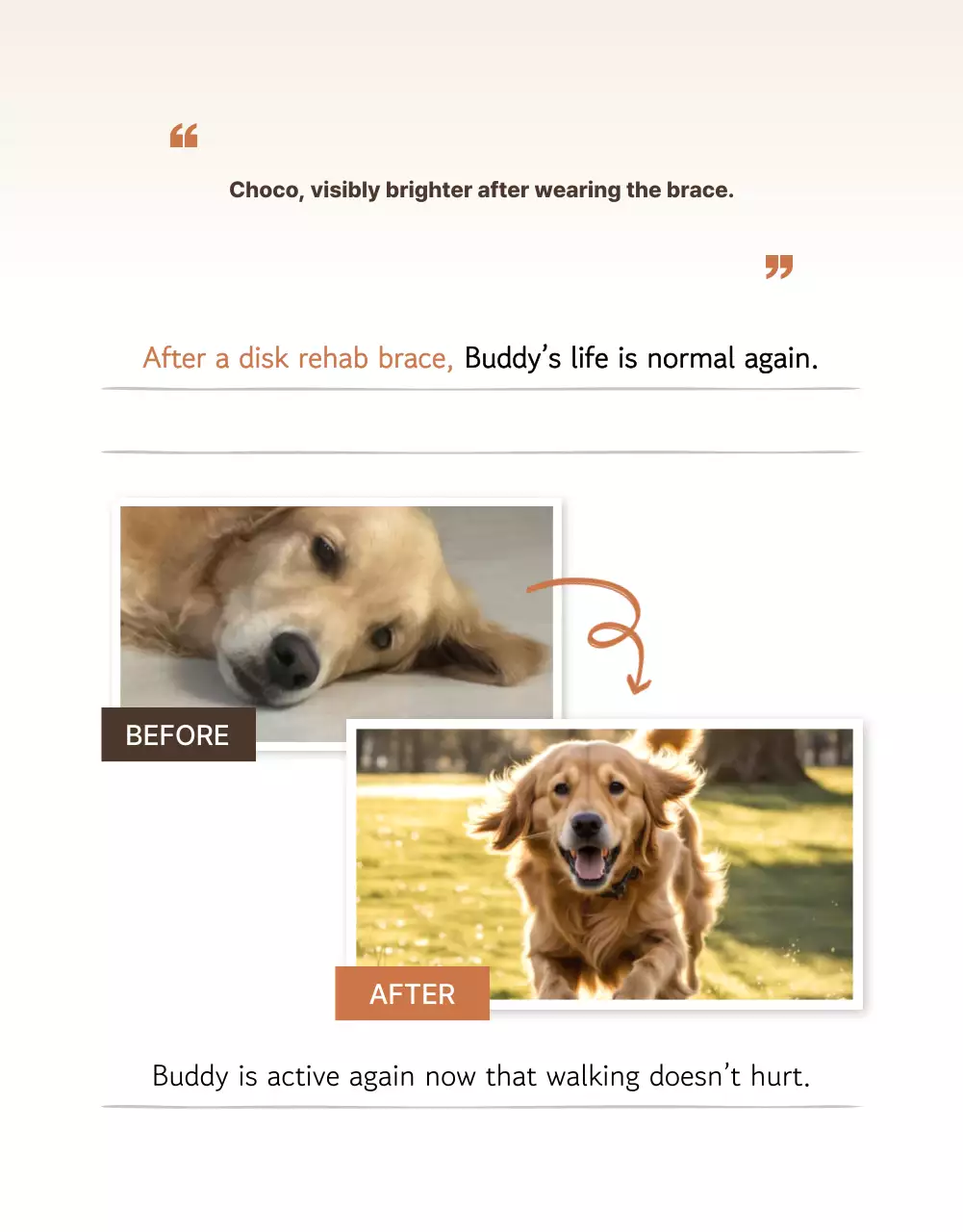 Introducing Beige Clean Pet Products