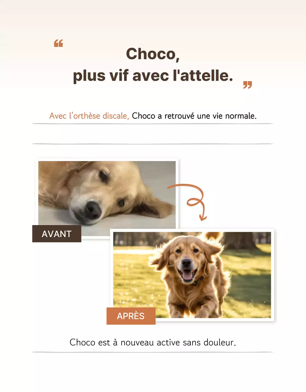 Présentation des produits Beige Clean pour animaux de compagnie
