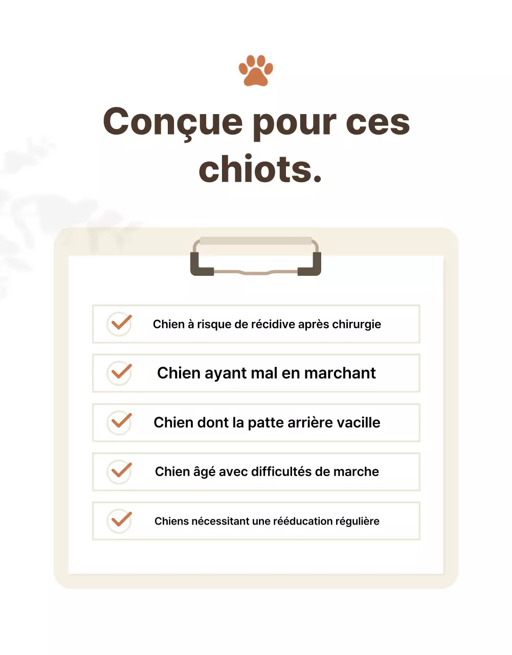 Présentation des produits Beige Clean pour animaux de compagnie